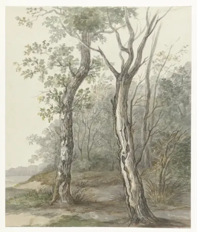 Boslandschap