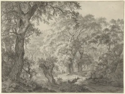 Boslandschap