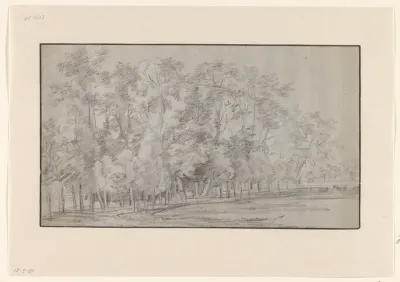 Boslandschap