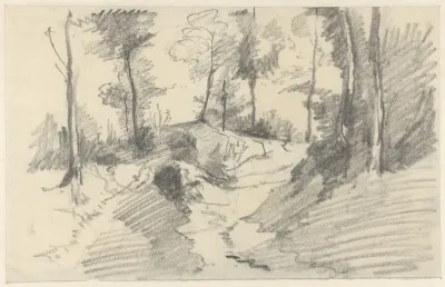 Boslandschap