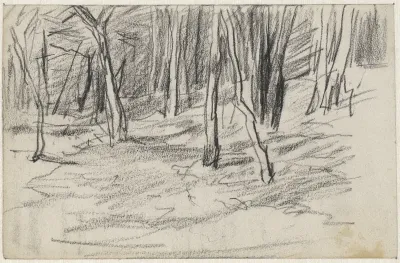 Boslandschap