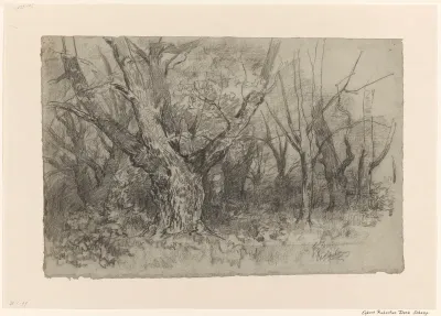 Boslandschap