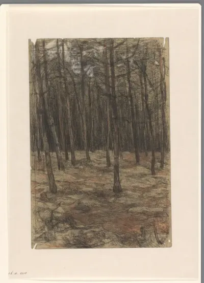 Boslandschap