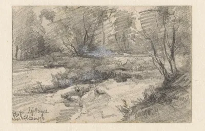 Boslandschap