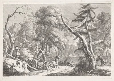 Boslandschap