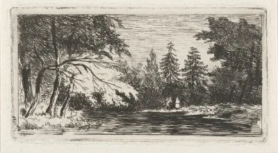 Boslandschap