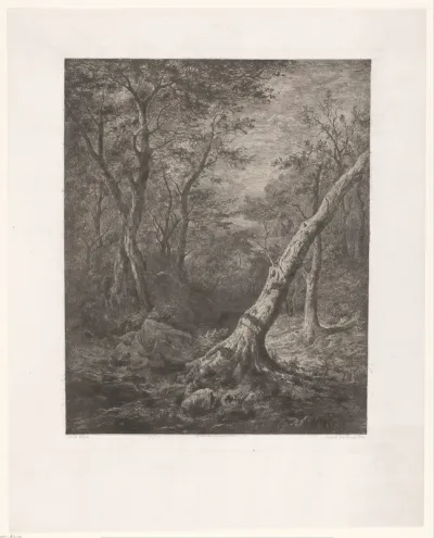 Boslandschap