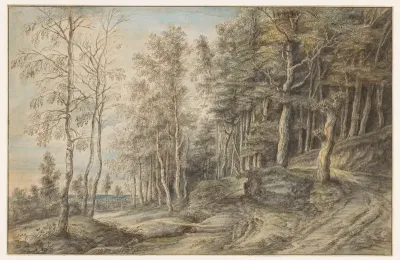 Boslandschap