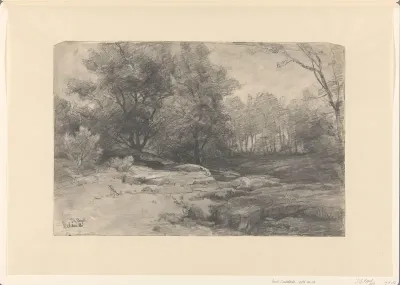 Boslandschap bij Delden