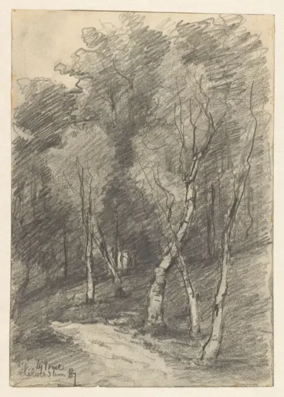 Boslandschap bij Hilversum