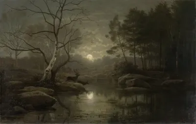 Boslandschap bij maanlicht.