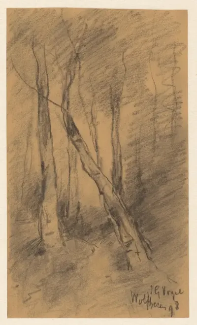 Boslandschap bij Wolfheze