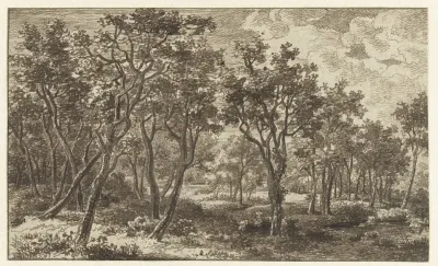 Boslandschap in het landgoed Zon, nabij Eindhoven