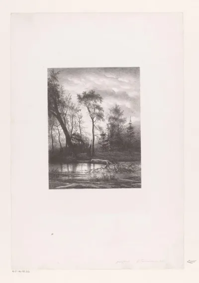 Boslandschap met afgebroken boom