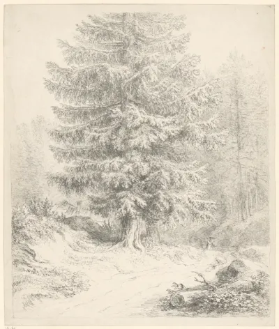 Boslandschap met dennenbomen en jager