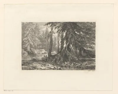 Boslandschap met dennenbomen langs een rivier