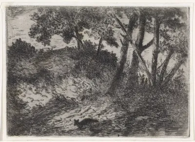Boslandschap met een vos