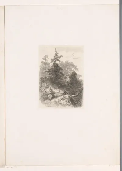 Boslandschap met fazanten