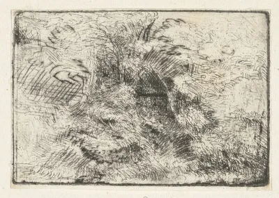 Boslandschap met hut tussen de bomen