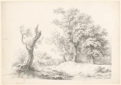 Boslandschap met links een afgebroken boom