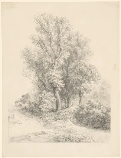 Boslandschap met links een huis
