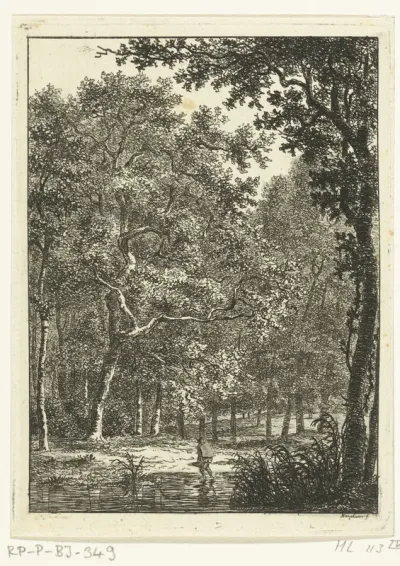 Boslandschap met man die door water waadt