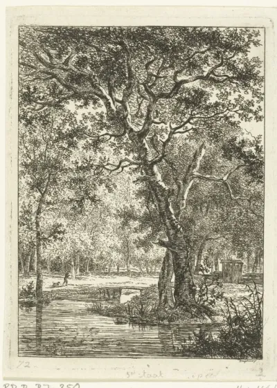 Boslandschap met man en hond bij een brug
