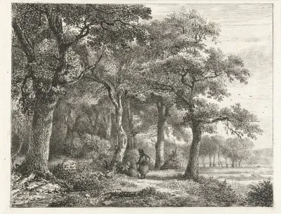 Boslandschap met man met rugzak