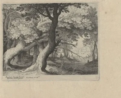 Boslandschap met meertje