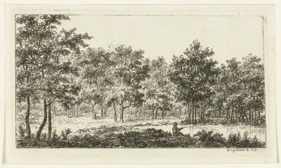 Boslandschap met rivier en visser
