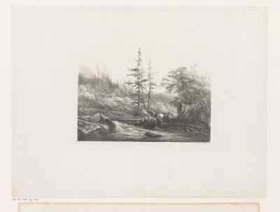 Boslandschap met rivier