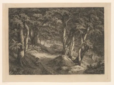 Boslandschap met tekenaar