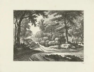 Boslandschap met twee wandelaars