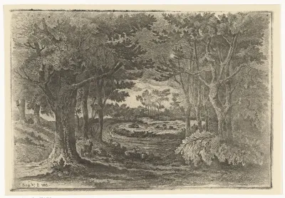 Boslandschap met vijf schapen