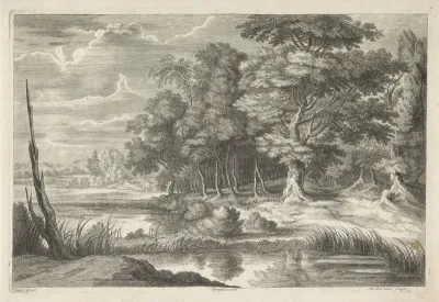 Boslandschap met vijver