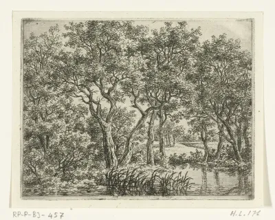 Boslandschap met vijver
