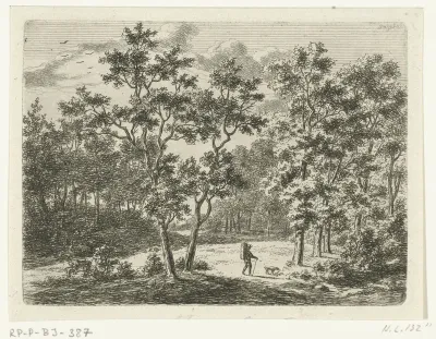 Boslandschap met wandelaar en hond
