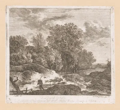 Boslandschap met wandelaar