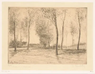 Boslandschap met zicht op huizen in de verte