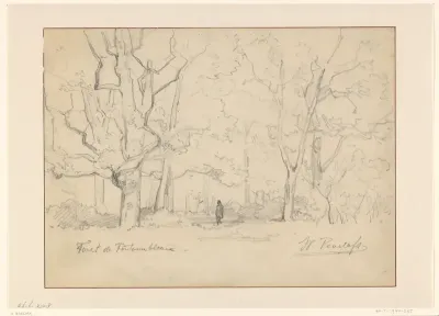 Boslandschap te Fontainebleau met wandelaar