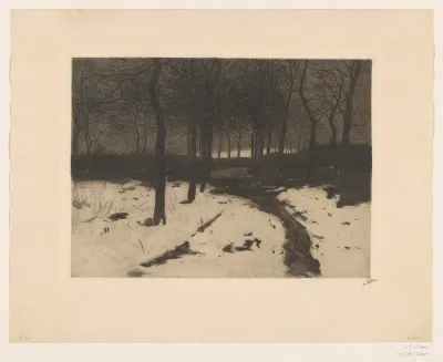 Bospad in Ewijkshoeve