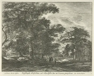 Bospad in het Haagse Bos
