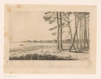 Bosrand bij Kalmthout