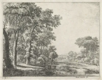 Bosrand met een houten brug