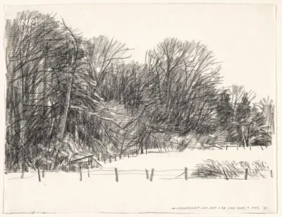 Bosrand met weiland met hek