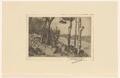 Bosrand op heuvel