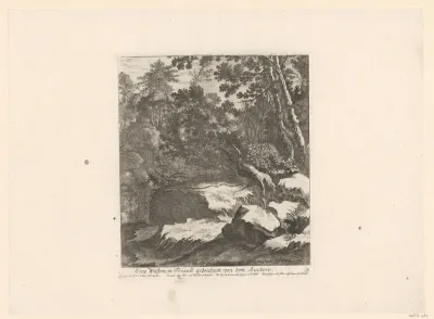 Bosrijk landschap bij Friuli
