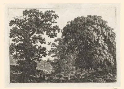 Bosrijk landschap met doorkijk op een boerderij