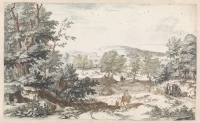 Bosrijk landschap met een weg