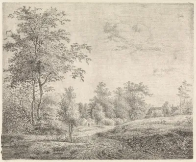 Bosrijk landschap met kronkelende weg